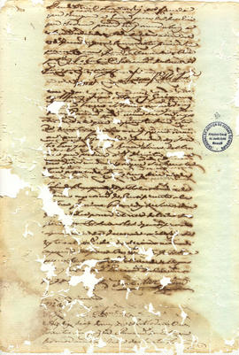 Francisca Maria da Conceição-FL33.JPG