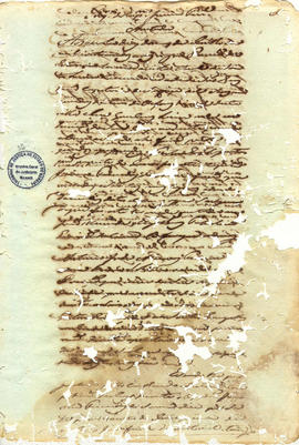 Francisca Maria da Conceição-FL32.JPG