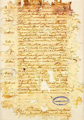 Thereza Rodrigues de Jesus-FL37.jpg