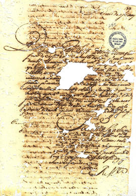 Antonio Carvalho de Oliveira-FL295.JPG