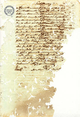 Francisca Maria da Conceição-FL21.JPG