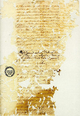 Francisca Maria da Conceição-FL23.jpg