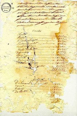 Domingos Ferreirae Cecilia Eugenia