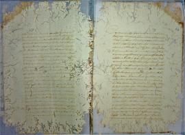 JOAO PAYS DE AZEVEDO