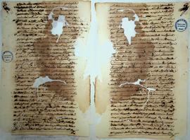 Telles de Andrade Maciel