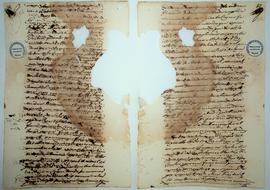 Maria Madalena de Jesus