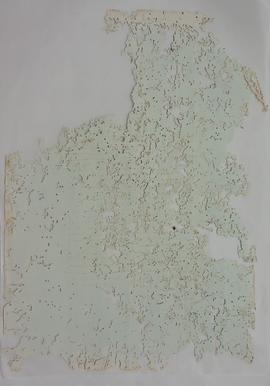 GASPAR FRANCISCO CORREIA